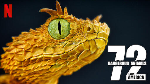 Watch 72 Dangerous Animals: Latin America | Netflix Official Site Watch 72 Dangerous Animals: Latin America | Netflix Official Site