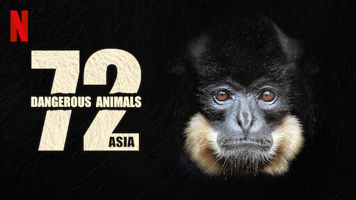 Watch 72 Dangerous Animals: Asia | Netflix Official Site Watch 72 Dangerous Animals: Asia | Netflix Official Site